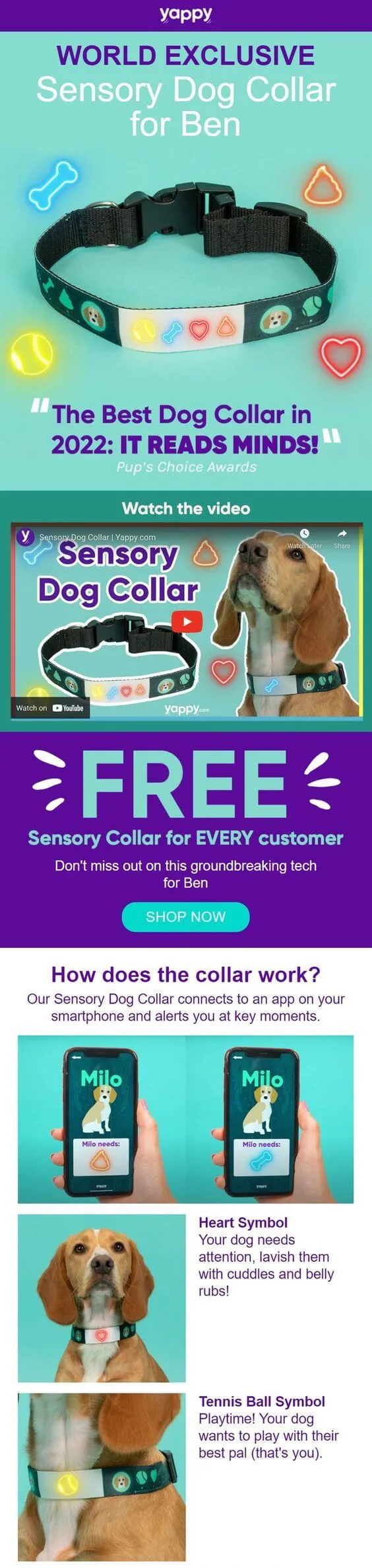 Yoppy's April Fool's Day email about a made up product — the special dog collar that can read and display your dog's emotions