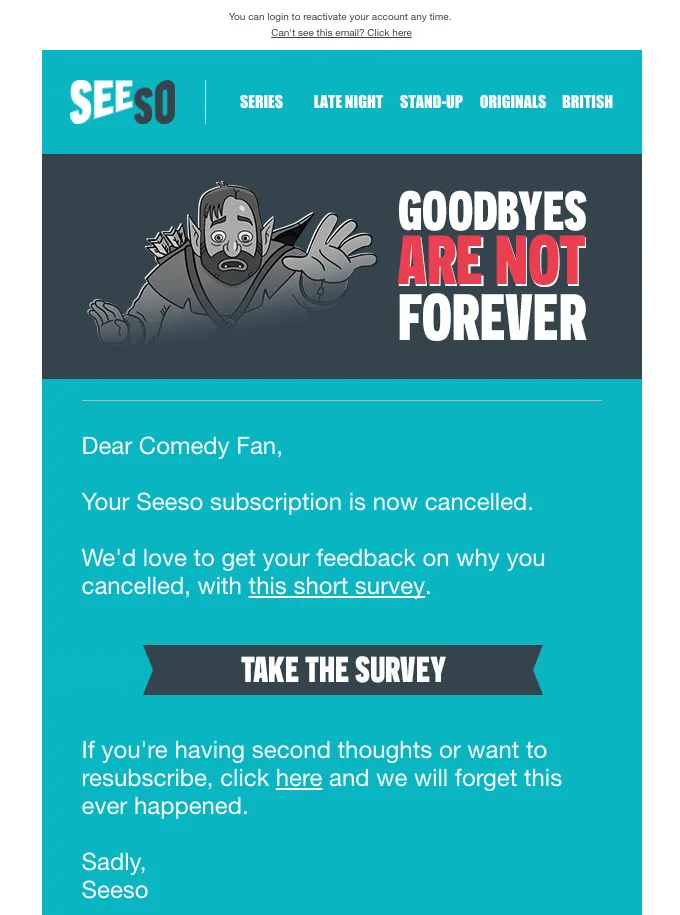 Email survey by Seeso asking for reasons for unsubscribing