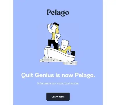 Animated GIF in an email by Pelago that includes a palette of 4 simple colors.