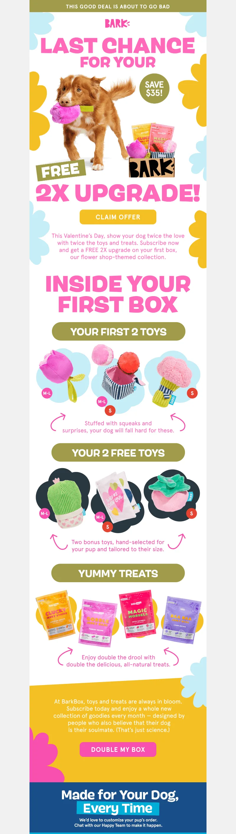 E-Mail von BarkShop zum Valentinstag mit einer letzten Chance auf ein Feiertagsangebot.