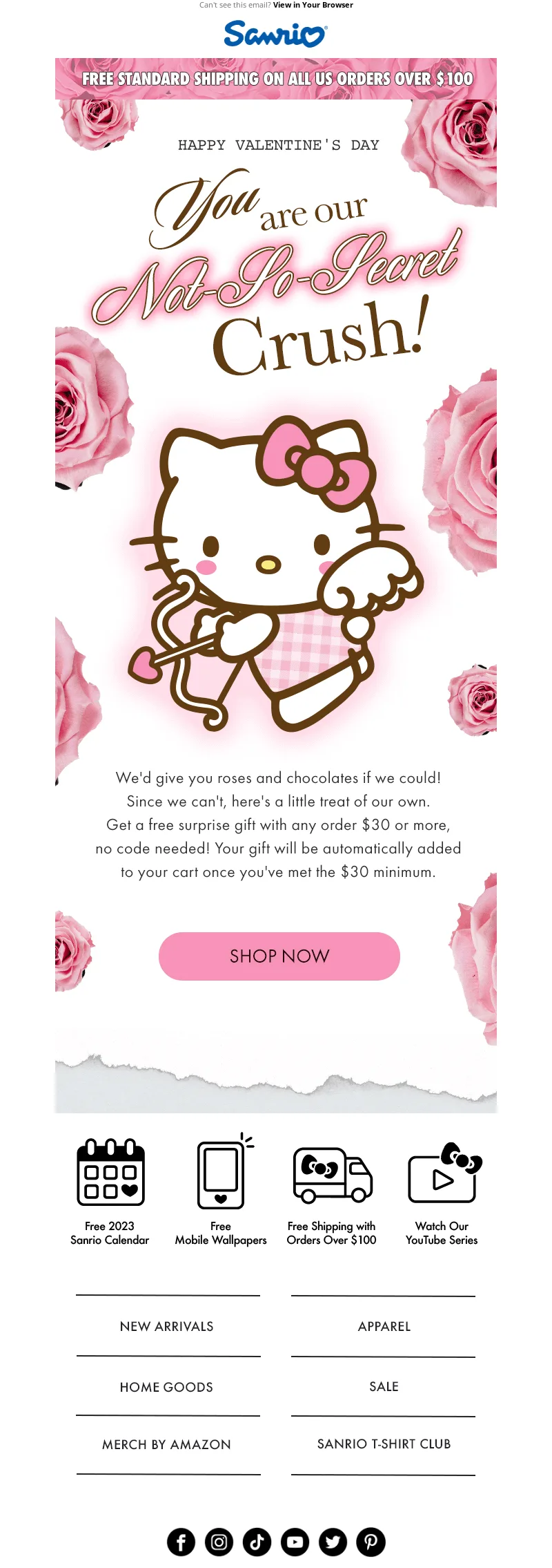 E-Mail von Sanrio zum Valentinstag mit dem Maskottchen Hello Kitty.