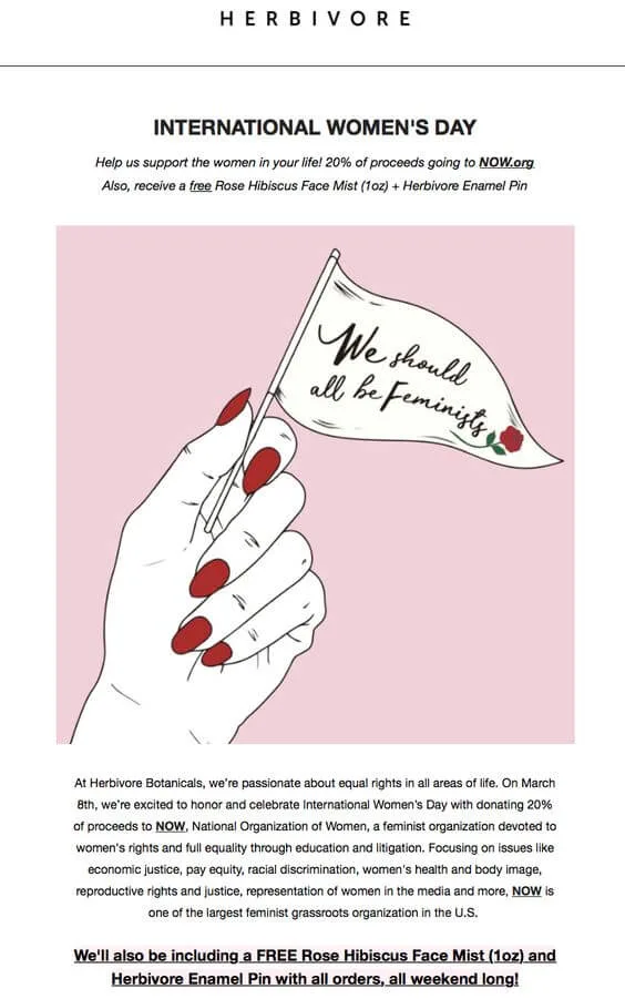 Email template with a banner depicting a hand holding a flag with a caption: we should all be feminists