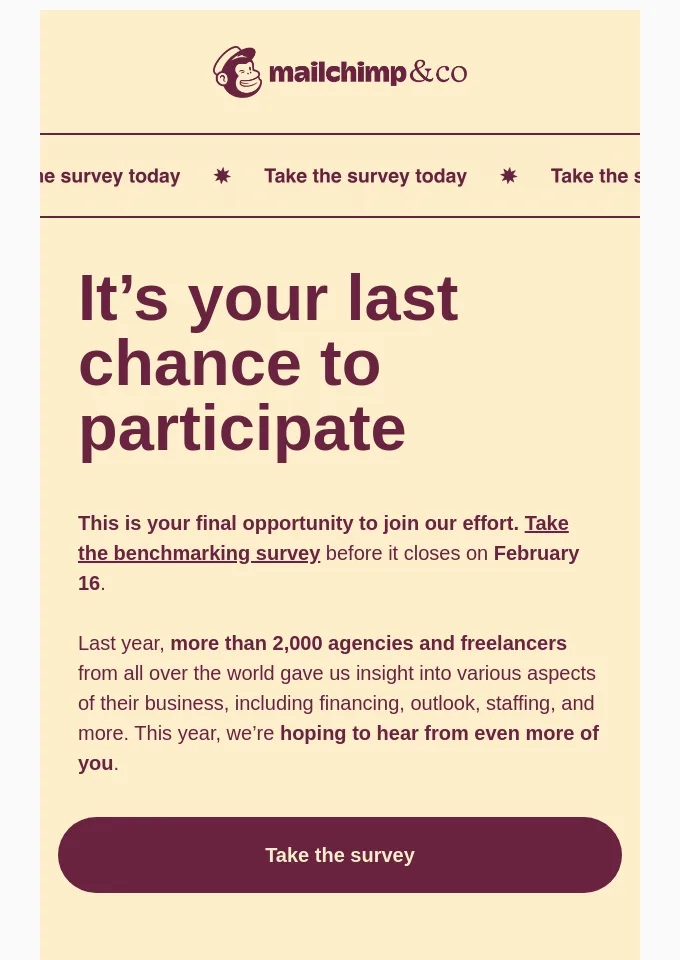 Beispiel einer dringlichen E-Mail von Mailchimp, die eine Umfrage ankündigt