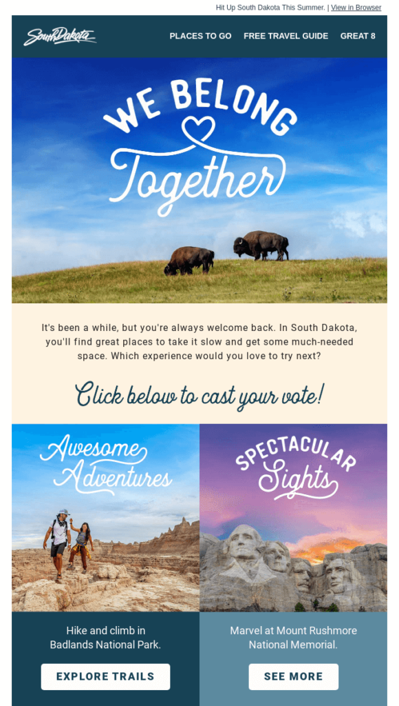 Email promozionale del South Dakota 