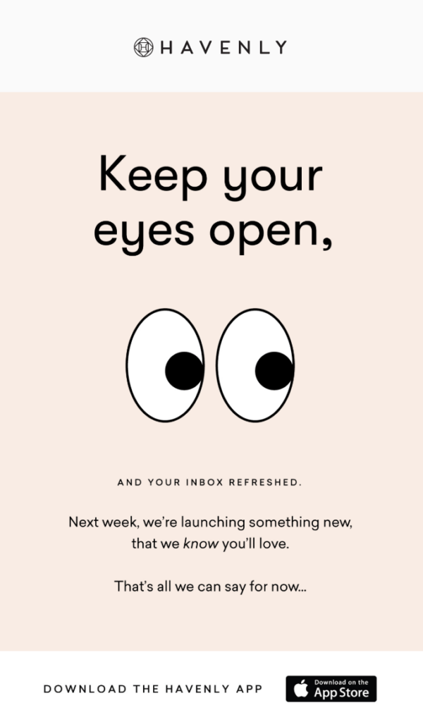 a teaser email by Havenly with a playful banner